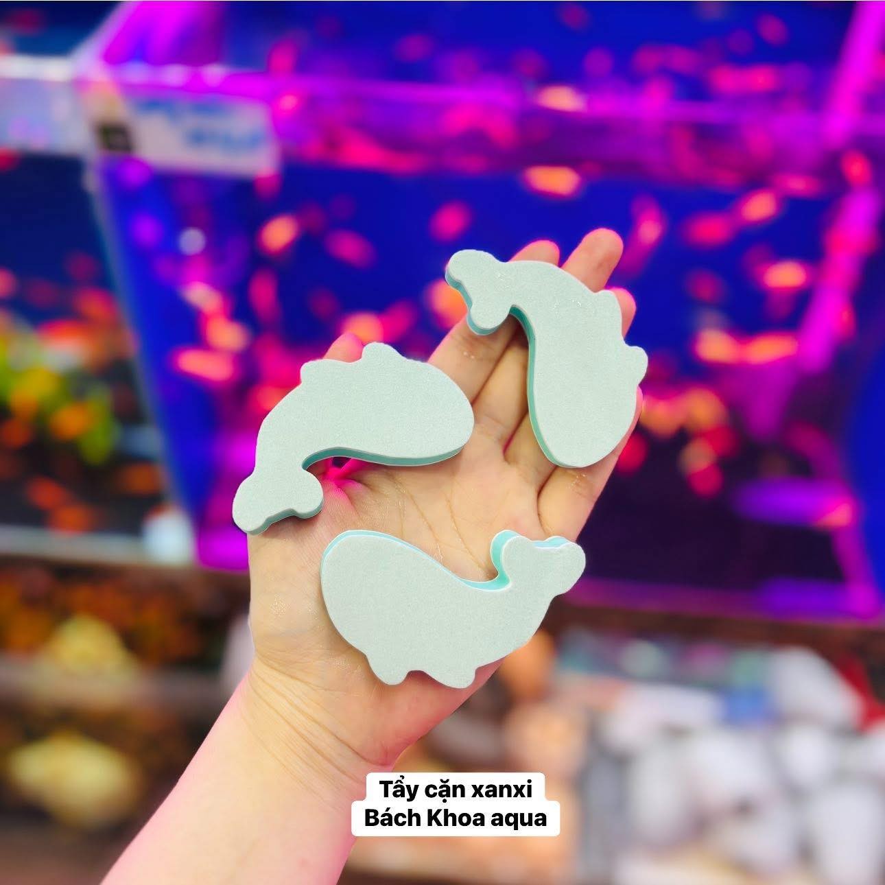 Mút tẩy cặn canxi hình cá heo